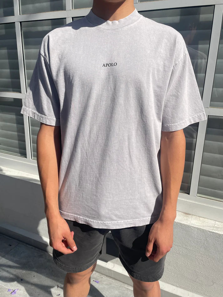 CAMISA VINTAGE GRIS - APOLO